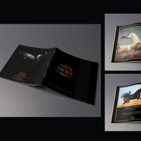 Erctra-Advertising-Design-(EL-Farida-Stud)-01