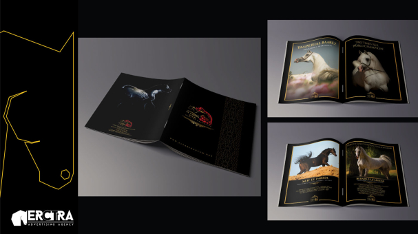 Erctra-Advertising-Design-(EL-Farida-Stud)-01