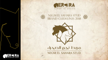 Erctra-Branding-Design-(Negm-Stud)-01