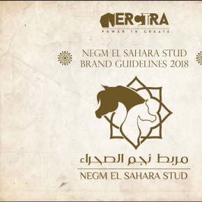 Erctra-Branding-Design-(Negm-Stud)-01