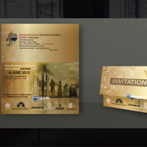 Erctra-Packing-Design-(Remax)